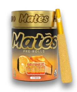 Orange Cake Muha Mates